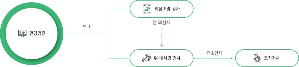 건강검진 > 위장조영 검사 / 건강검진 > 위내시경 검사 > 조직검사