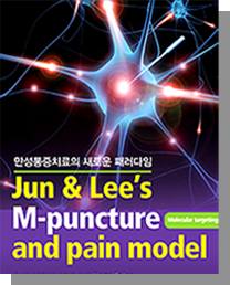전 세계 의사들이 보는 M-Puncture 교과서 이미지